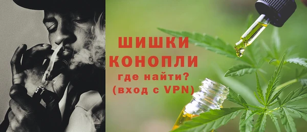ГАЛЛЮЦИНОГЕННЫЕ ГРИБЫ Абинск