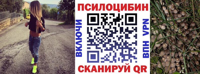 Галлюциногенные грибы прущие грибы Серпухов